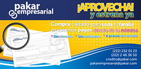 Grupo Pakar